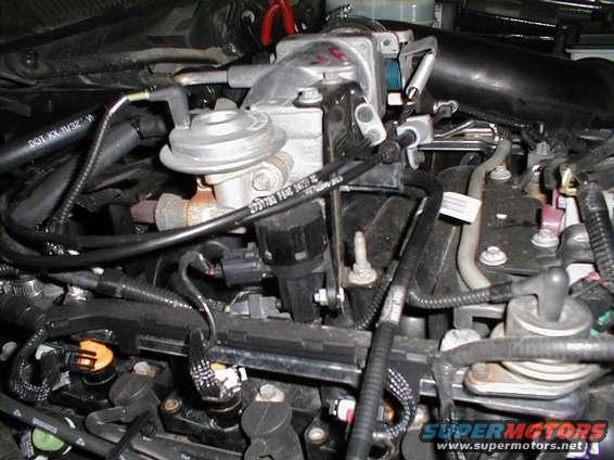 Close-up of engine parts including throttle body and fuel injectors