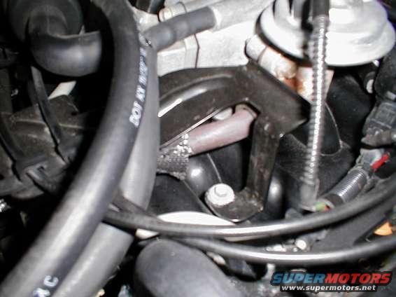 Close-up of engine hoses and metal bracketry. Some text is visible on a hose