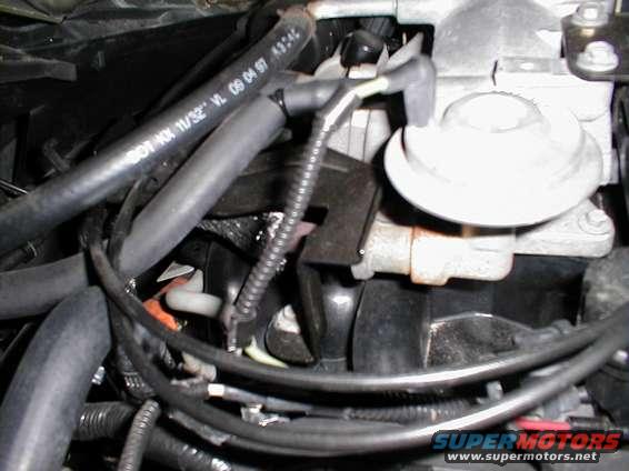 Engine hoses and a white valve cover with a black connector