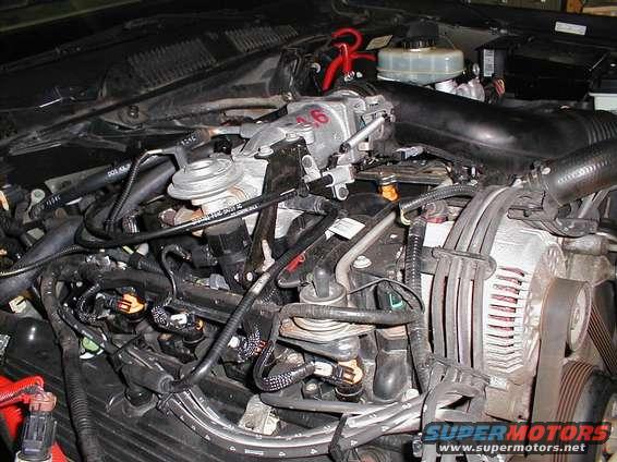Engine bay showing intake manifold, fuel injectors, and alternator
