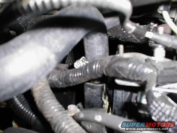 Engine hoses and wiring loom, close-up view