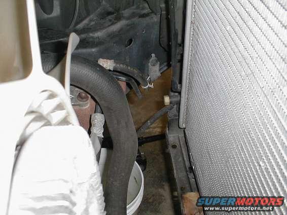 Radiator and black hose in engine bay