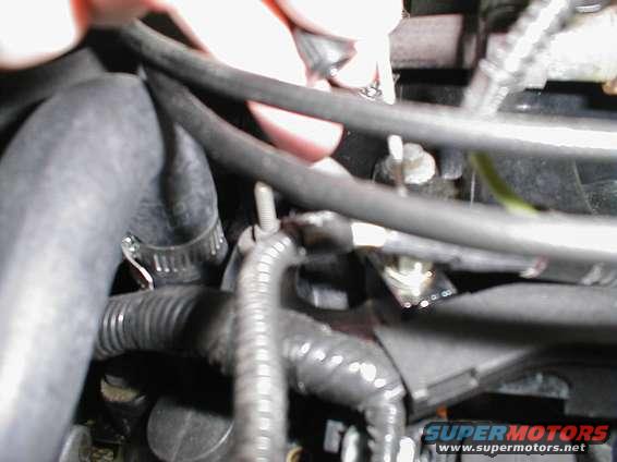 Engine bay hoses and wiring, close-up view. A hand is visible adjusting a hose clamp