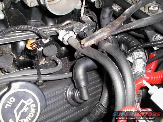 Close-up of engine bay with various hoses, wiring, and an oil cap