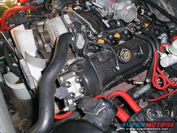 Engine bay with black valve covers, red hoses, and a white fan shroud