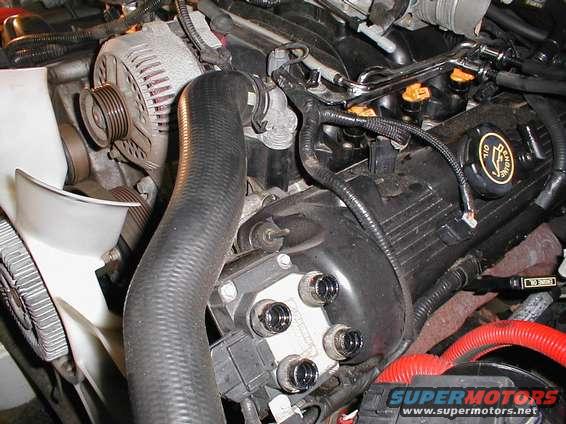 1997 Ford Crown Victoria engine bay showing valve cover and alternator