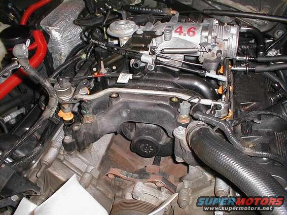 Close-up of a Ford 4.6 engine, showing intake manifold and fuel injectors
