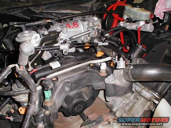 Engine bay with 4.6 liter V8 engine, brake fluid reservoir, and various hoses