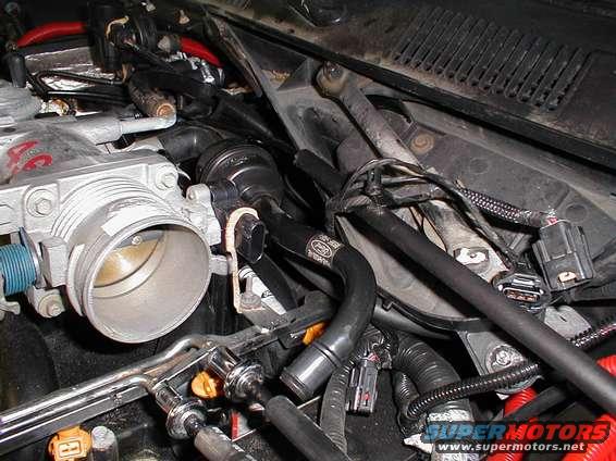 Throttle body and hoses in engine bay