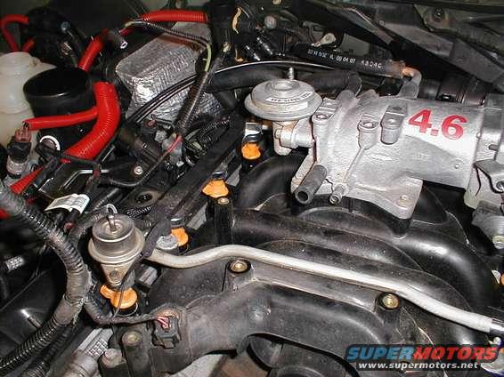Close-up of a car engine's intake manifold with fuel injectors visible. The number 4.6 is marked on the manifold