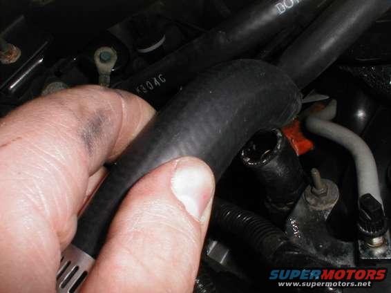 Hand holding a black hose in an engine bay, with visible hoses and connectors