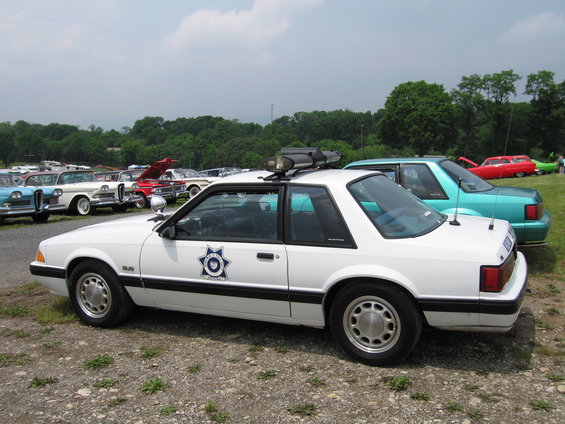 2006-029.jpg 