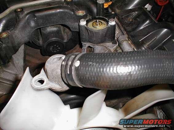 Close-up of engine thermostat housing with a large hose and fan visible below. Supermotors.net logo in lower right