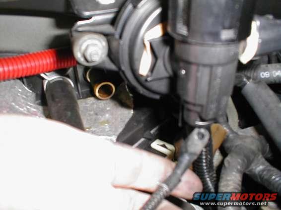 Close-up of engine bay hoses and electrical connectors, with a hand visible