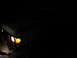 1989 Ford Bronco - A 1989 Ford Bronco is seen from the front-three-quarter angle at night, its headlights illuminating the dark surroundings.
