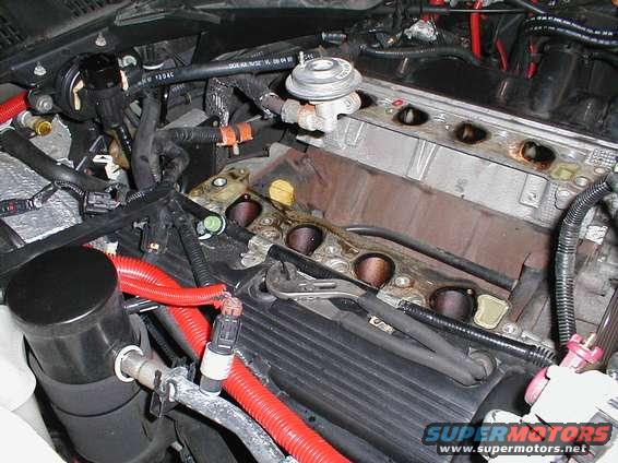 Engine bay with intake manifold removed, showing ports and wiring