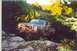 1980 Ford Bronco - tuttel creek kanas