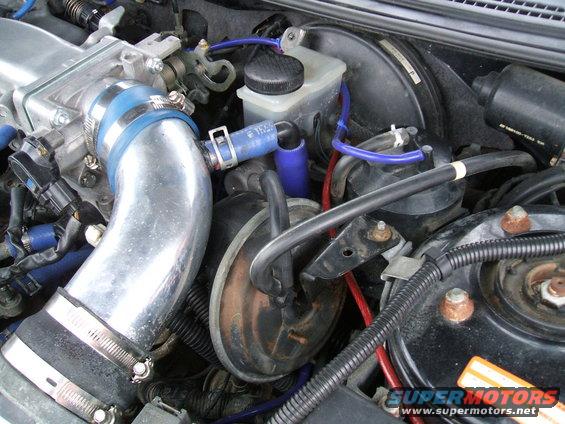 Engine bay with chrome intake piping, blue hoses, and brake fluid reservoir
