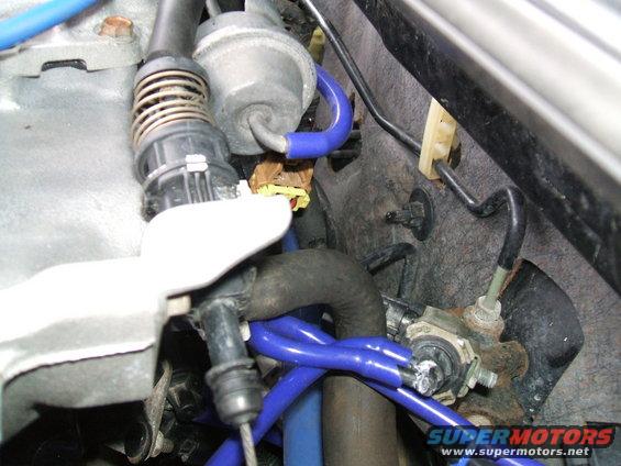 Close-up of blue silicone hoses and other engine components, with a 'Supermotors.net' watermark
