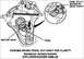 2. Visually inspect to make sure that the pawl is fully seated in the bottom of a sector gear tooth....