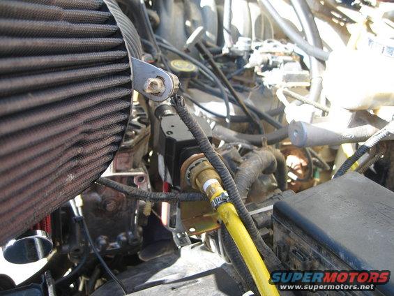Here is the filter and check valve.  Again, I used the stock hose and put in a fitting to attatch the filter.