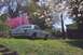 1985 Ford Crown Victoria LTD - A white sedan is parked on a grassy incline surrounded by blooming trees.