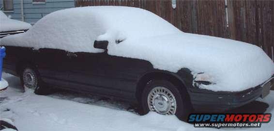snow.jpg 