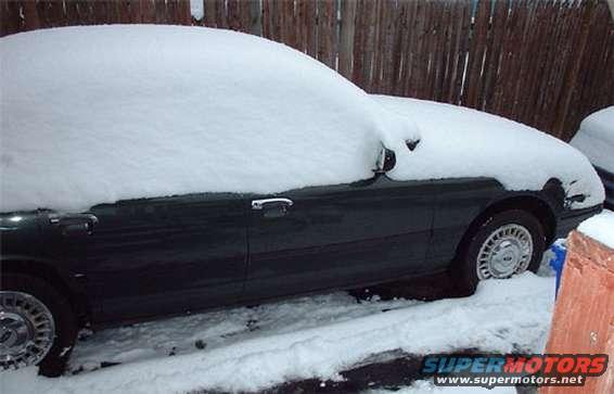 snow1.jpg 