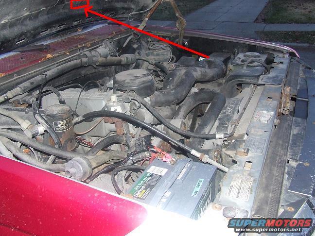 engine bay with hoses, battery, and radiator visible. Red arrow points to something under the hood