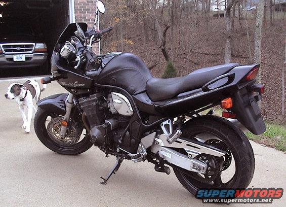 Black motorcycle parked on pavement, with a dog standing nearby and a Ford truck in a garage behind it