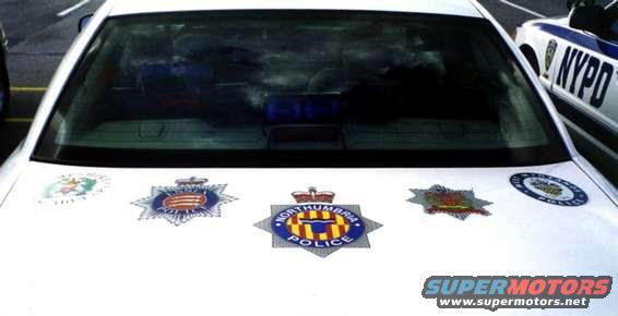 Check out these badge stickers from various police departments in the UK (on the Orange County Vic's trunk lid).