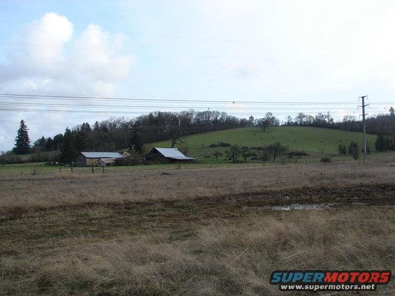 muddin-151.jpg 