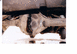 1991 Ford Bronco - First major problem