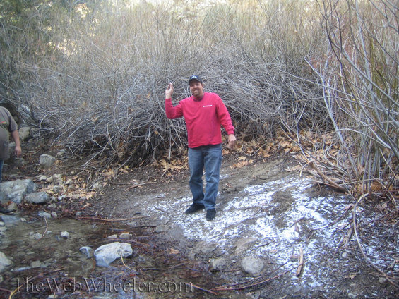 img_0753.jpg 
