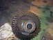 1989 Ford Bronco - A rusty differential gear is shown, likely for a vehicle rebuild.
