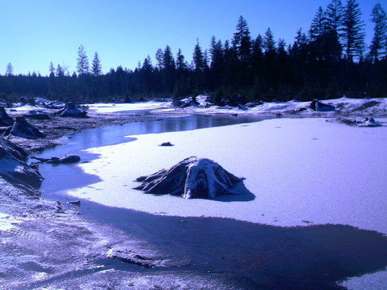 Frozen landscape with tree stumps and partially frozen water under a clear blue sky