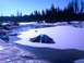 1987 Ford Bronco II - A winter scene depicts a frozen body of water with tree stumps emerging from the ice and snow.