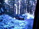 1987 Ford Bronco II - Driving a 1987 Ford Bronco II through a snowy forest road.