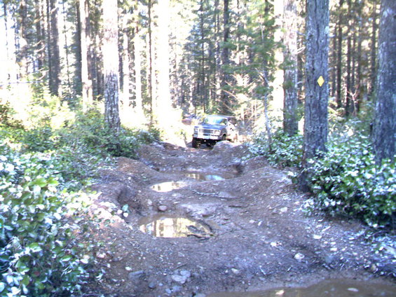Truck driving on a muddy, rutted forest trail with puddles. Trees line both sides