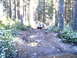 1987 Ford Bronco II - A truck navigates a challenging, water-filled trail through a dense forest.