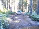 1987 Ford Bronco II - A blue SUV navigates a rough, muddy path through a dense forest.