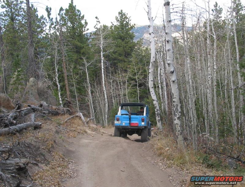 1981 Ford Bronco photo