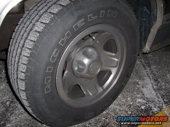 100_1165-(large).jpg 