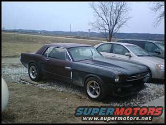 mustang1.jpg 