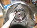 1978 Ford Bronco - Disassembled transmission housing with a hand holding a clutch pack.
