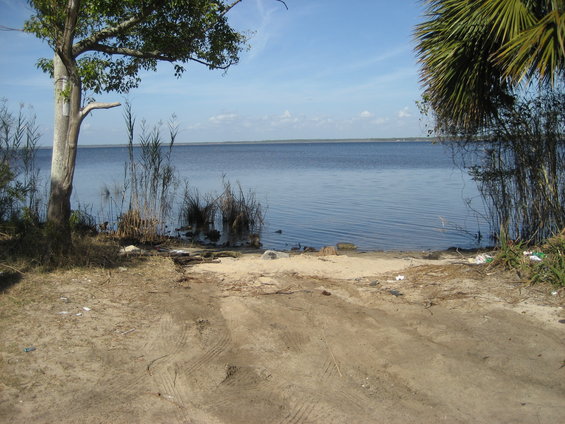 Dirt path leads to a calm lake with trees and reeds on the shore under a blue sky