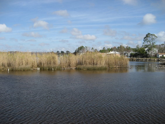 Waterfront scene with reeds and houses under a cloudy sky