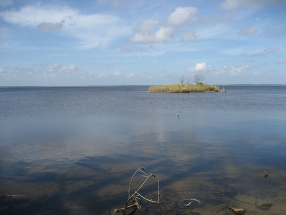 Water scene with small island and blue sky