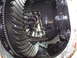More chewed gears