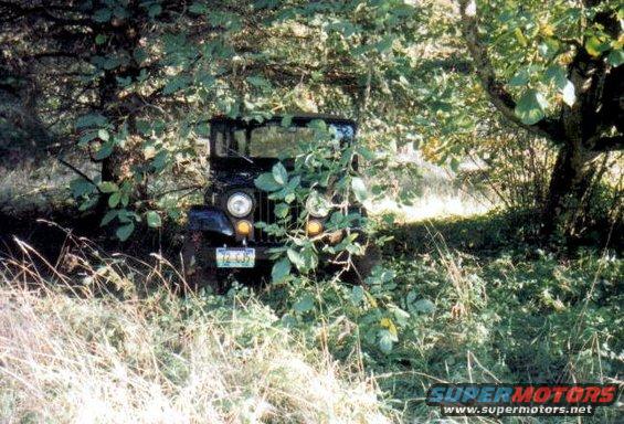 Black jeep with license plate 12-CJS, partially hidden by trees and bushes